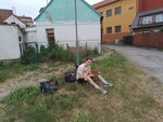 IMG_20230623_175130