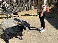 IMG_2030