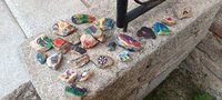 IMG_20240728_175449