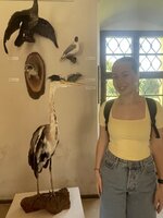 IMG_2728